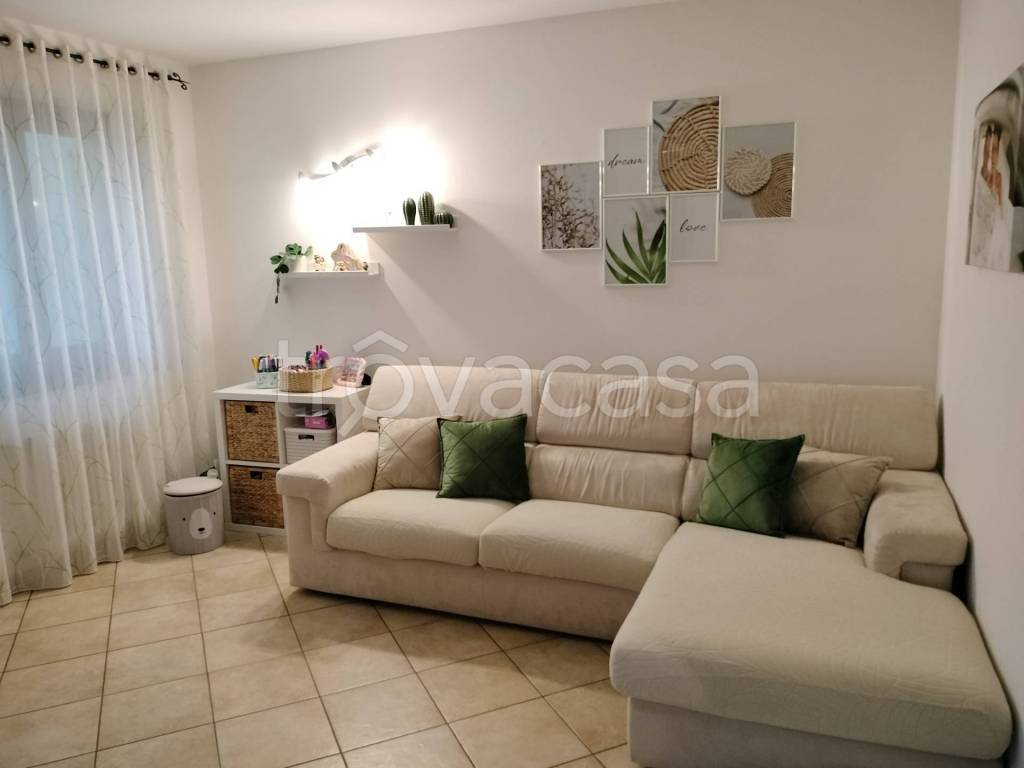 immagine annuncio 1 di 12