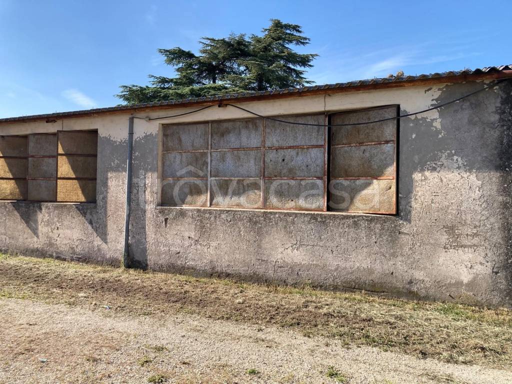 immagine annuncio 4 di 14