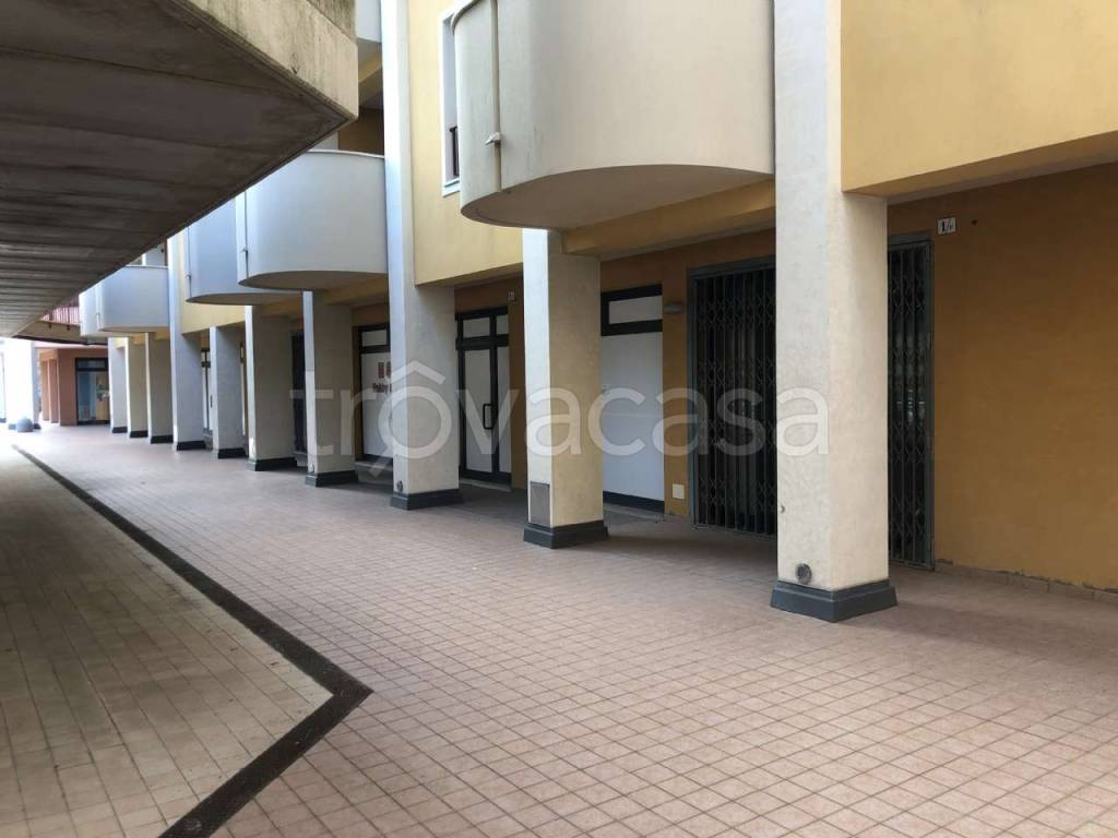 immagine annuncio 6 di 13
