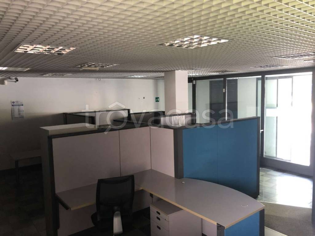 immagine annuncio 6 di 11