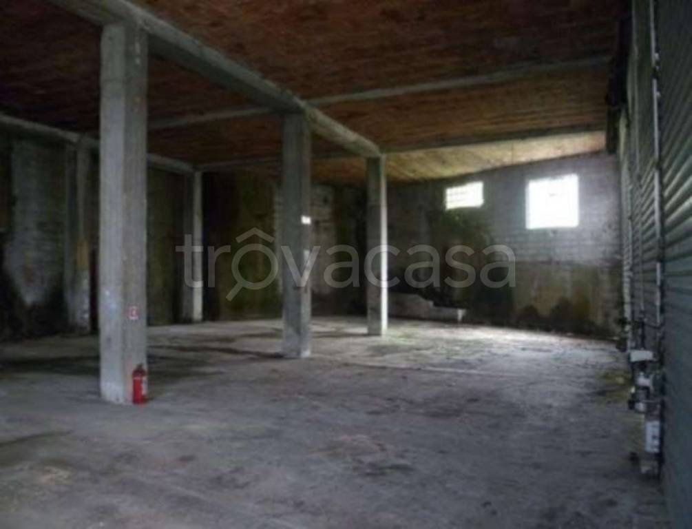 immagine annuncio 3 di 6
