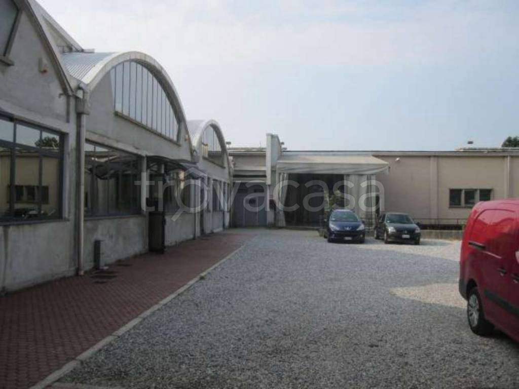 immagine annuncio 4 di 8