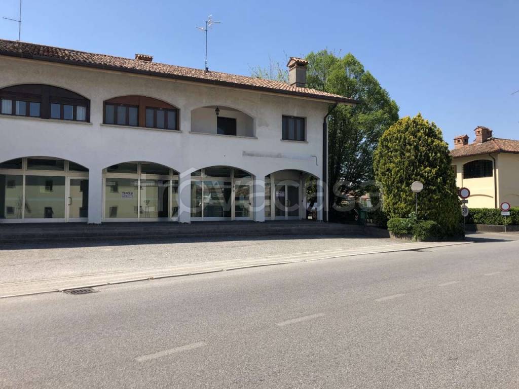 immagine annuncio 2 di 7