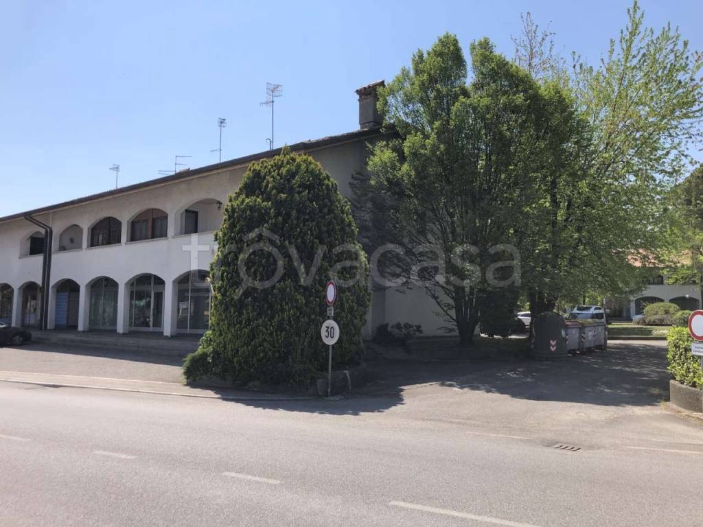 immagine annuncio 3 di 7