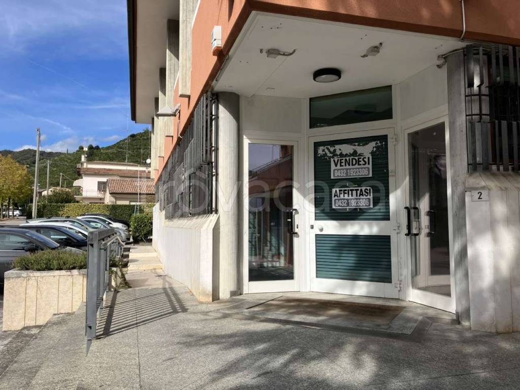 immagine annuncio 3 di 8