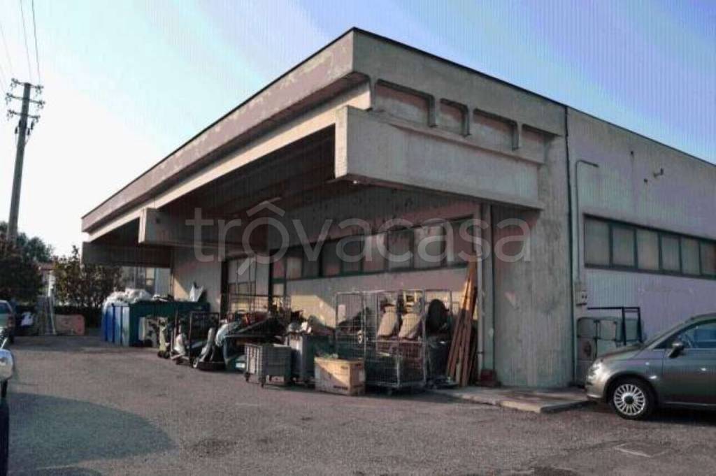 immagine annuncio 4 di 7