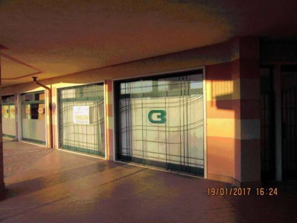 immagine annuncio 1 di 4
