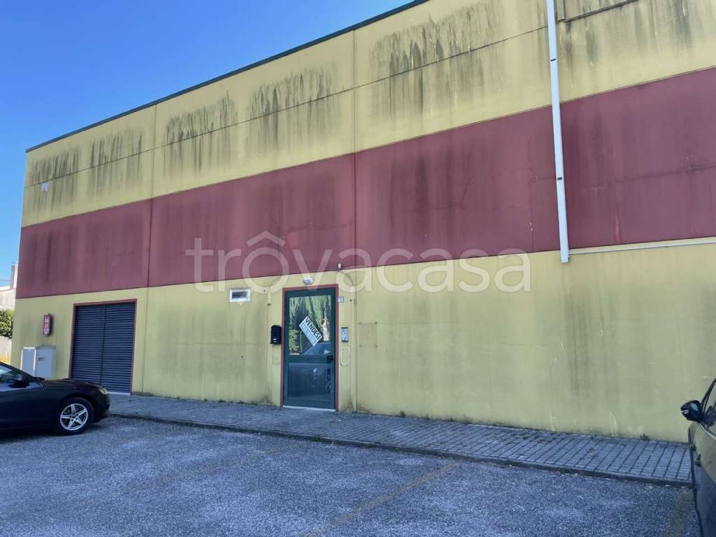 immagine annuncio 4 di 7