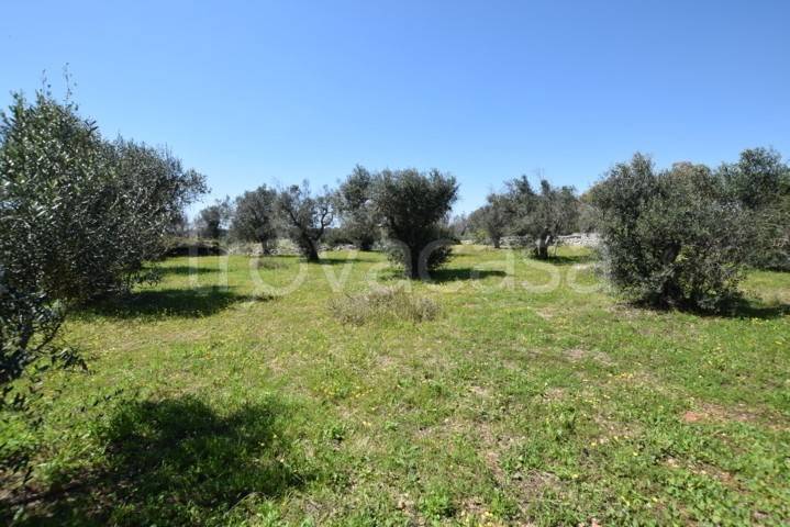 immagine annuncio 10 di 14