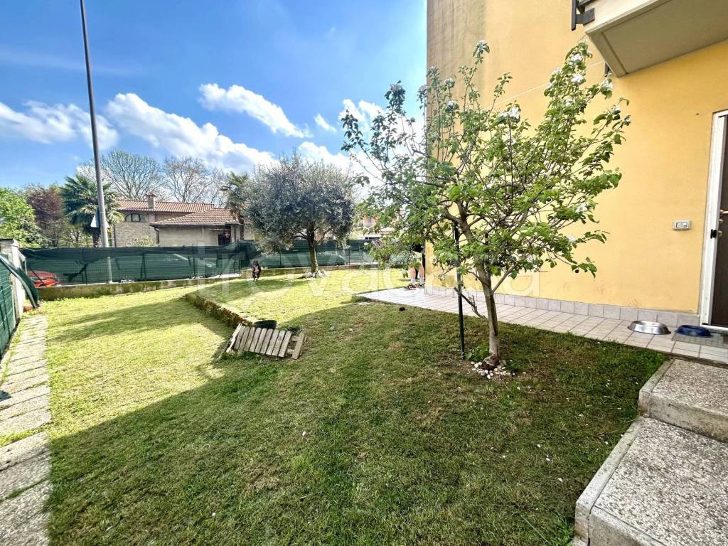 immagine annuncio 3 di 14