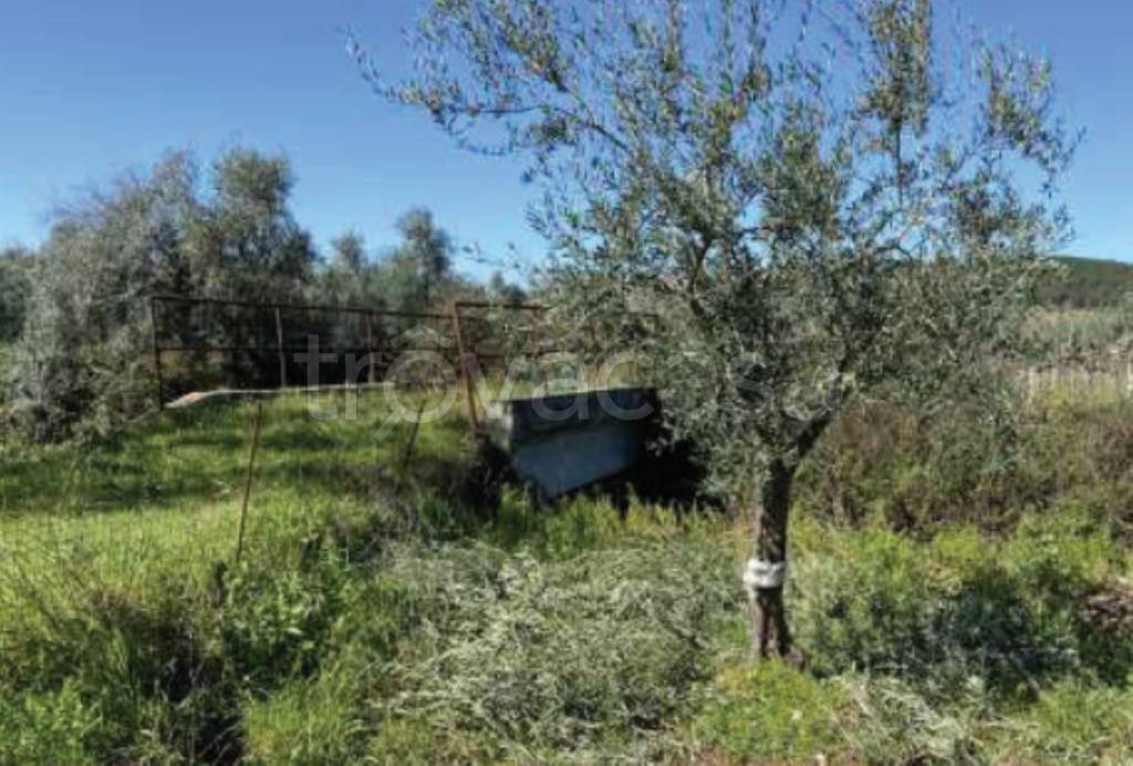 immagine annuncio 5 di 8