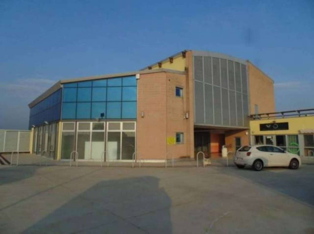 immagine annuncio 9 di 11