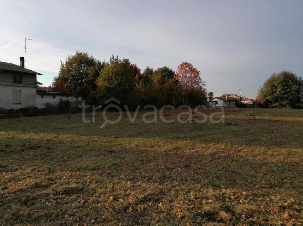 immagine annuncio 2 di 7