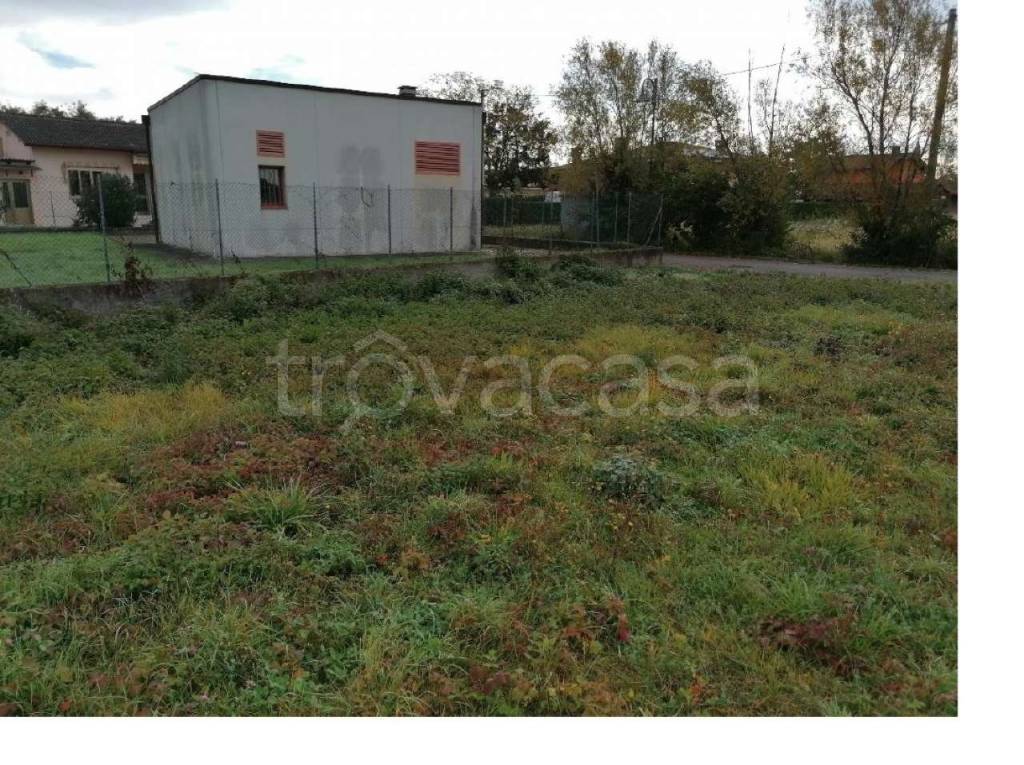 immagine annuncio 3 di 7