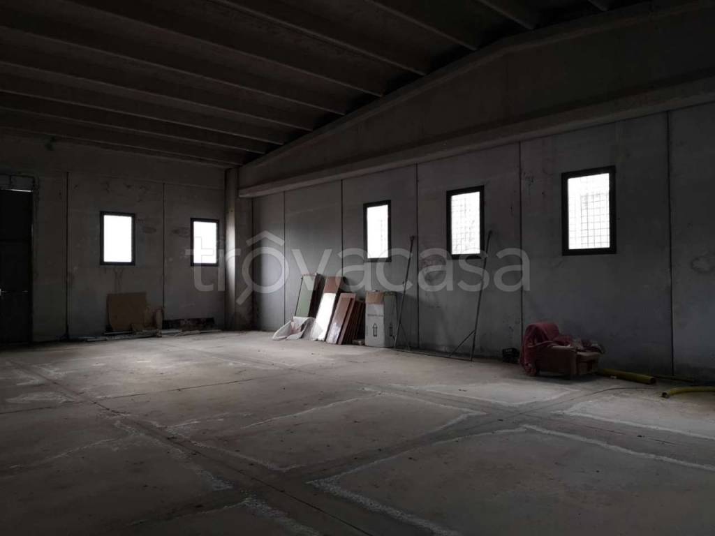 immagine annuncio 4 di 7