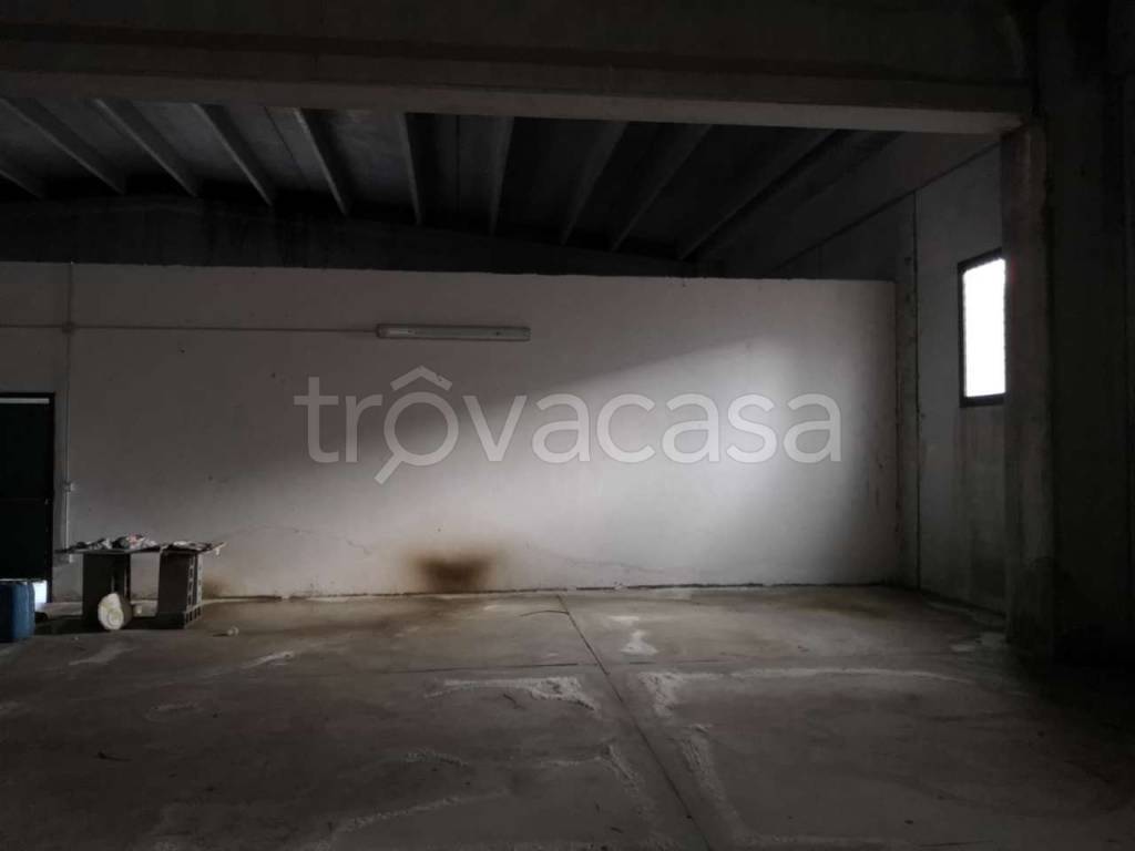 immagine annuncio 5 di 7