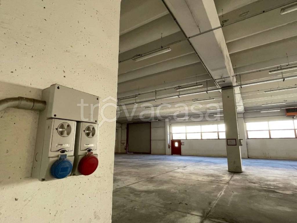 immagine annuncio 3 di 7