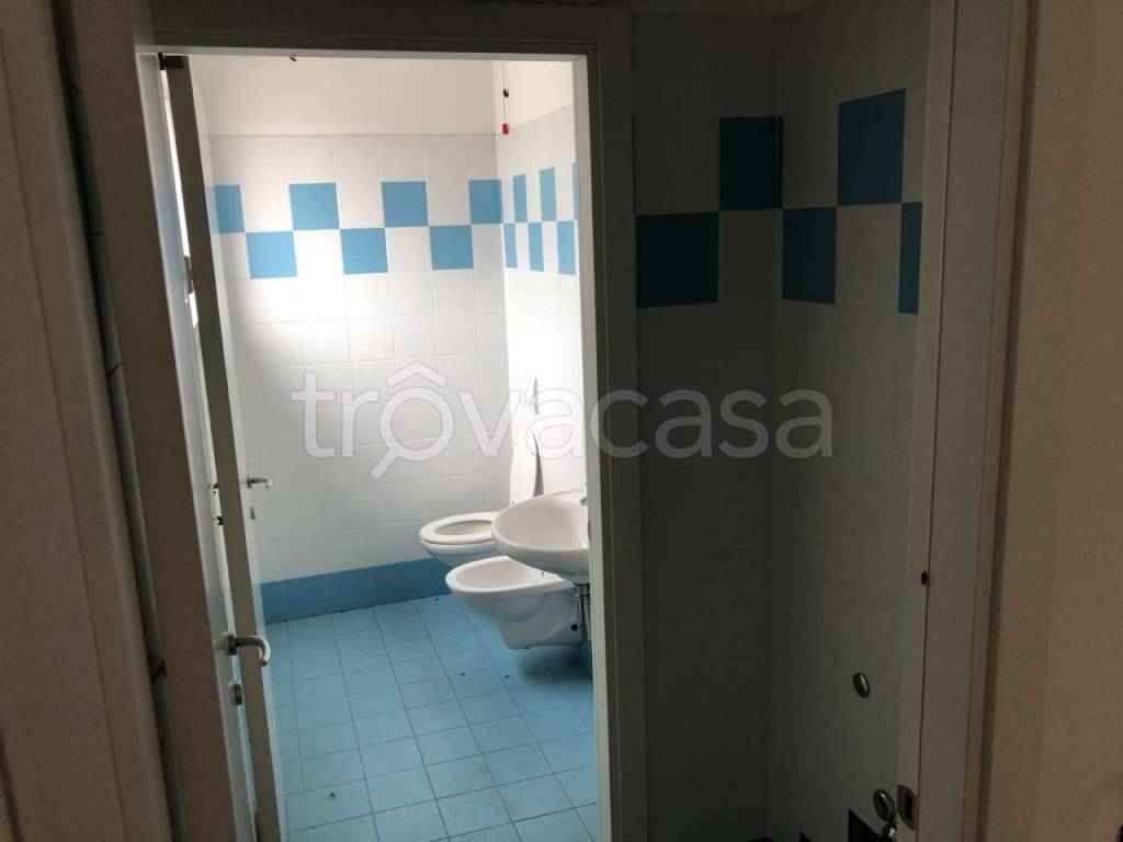 immagine annuncio 6 di 14