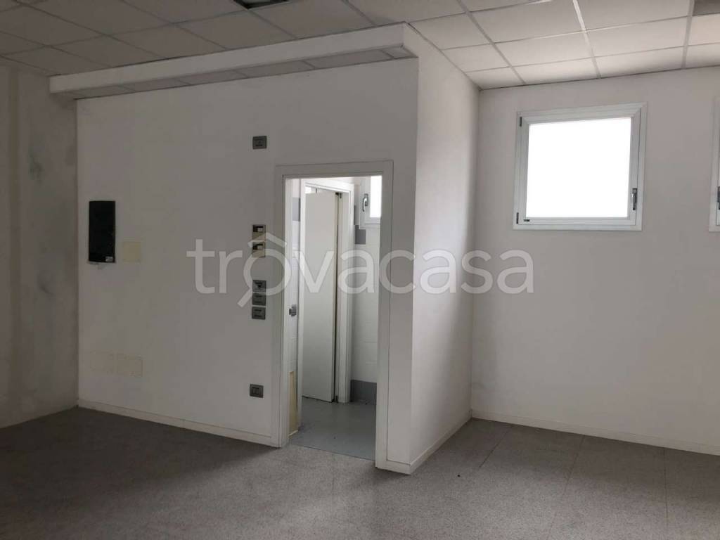 immagine annuncio 10 di 14