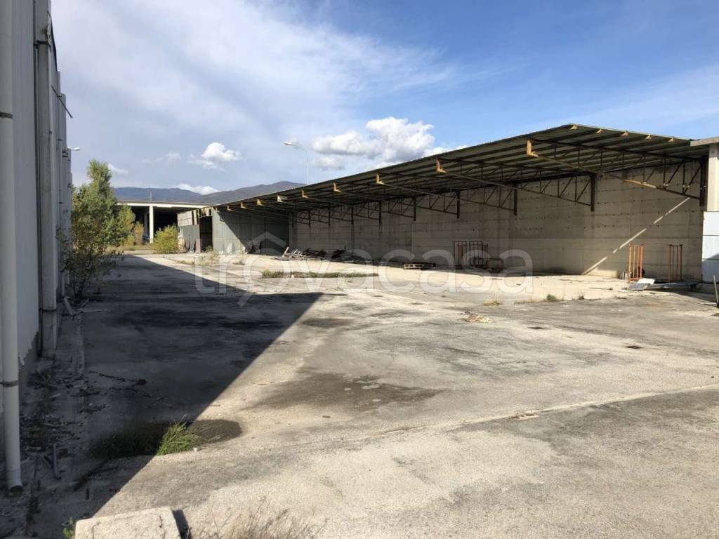 immagine annuncio 11 di 13
