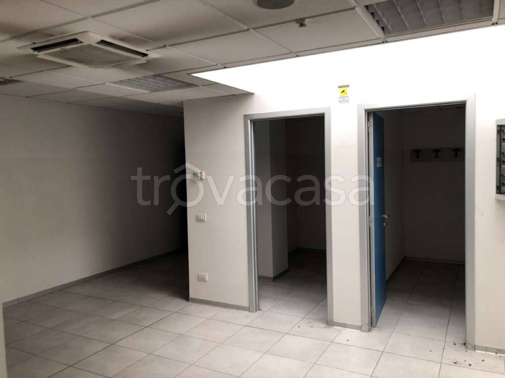 immagine annuncio 11 di 14