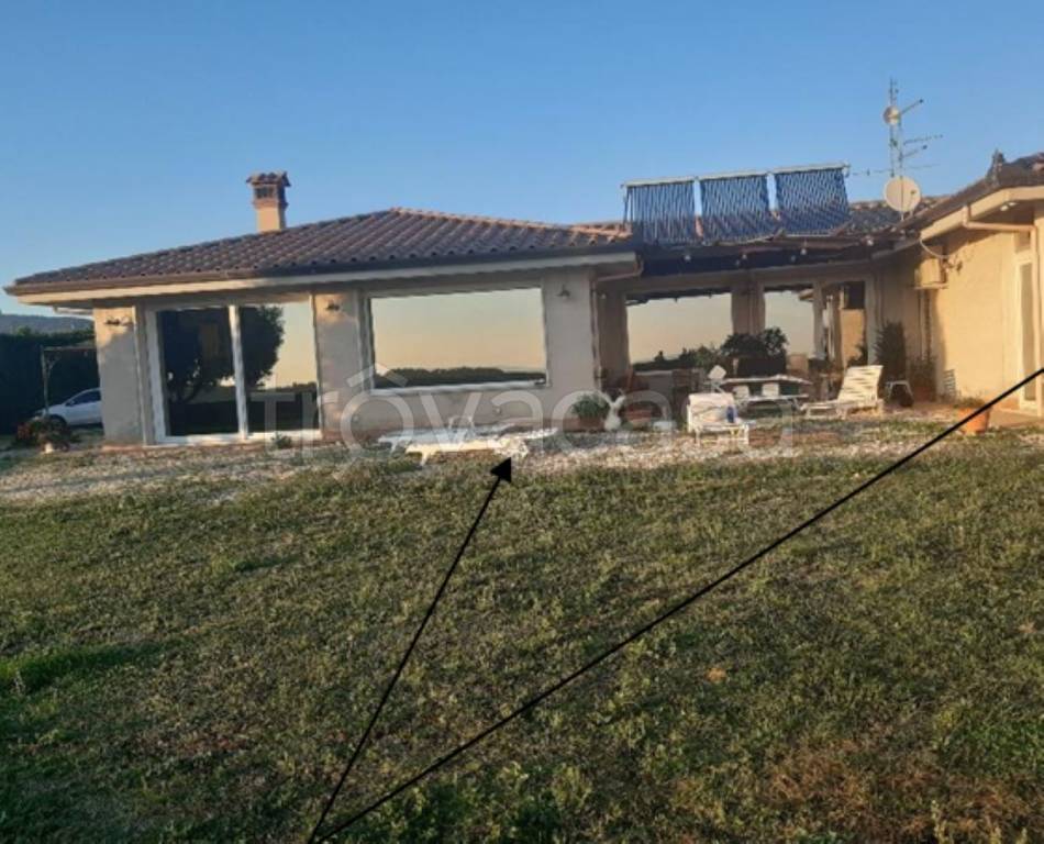 immagine annuncio 3 di 13