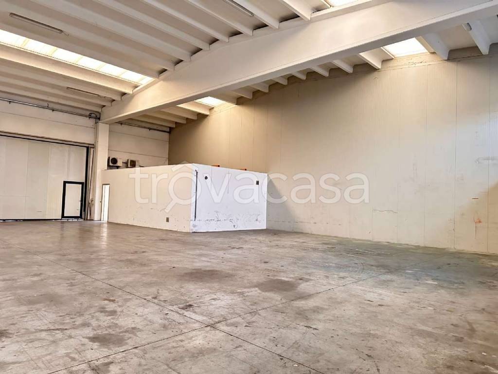 immagine annuncio 10 di 11