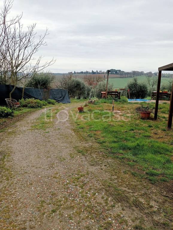 immagine annuncio 7 di 13