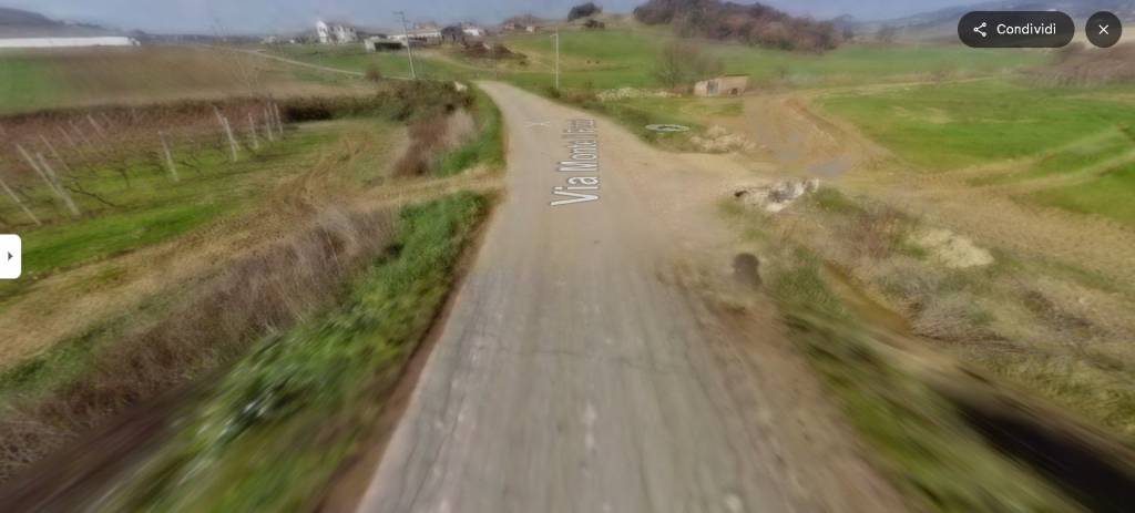 immagine annuncio 9 di 13