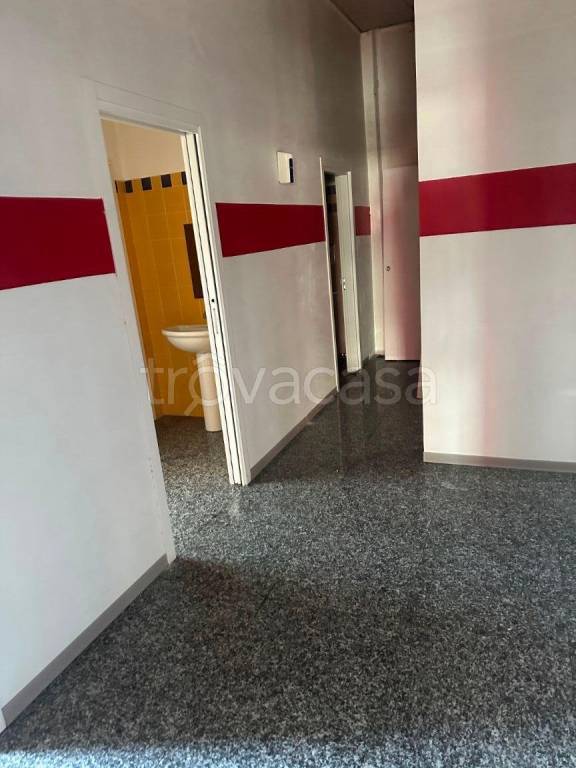 immagine annuncio 3 di 8