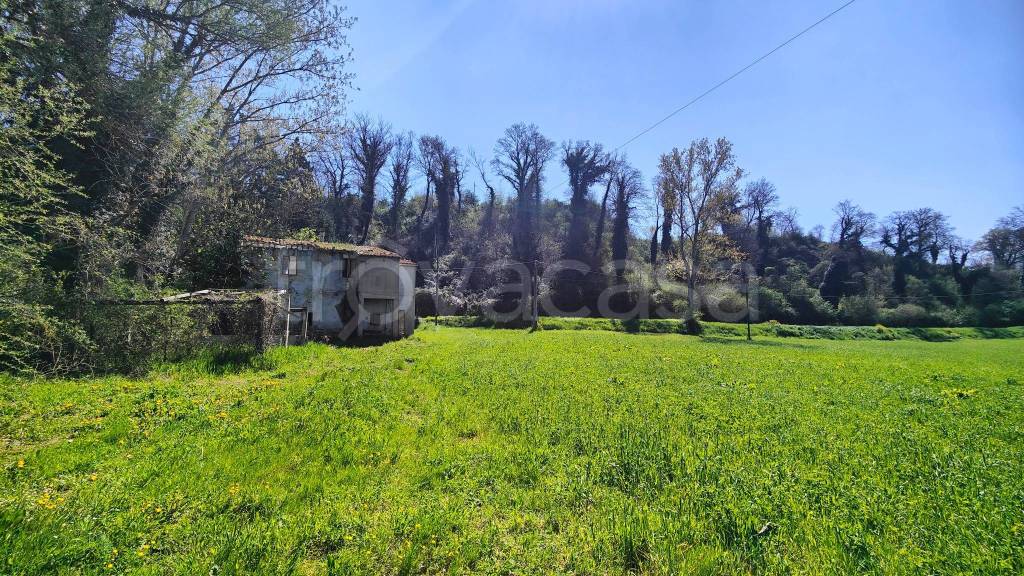 immagine annuncio 5 di 9