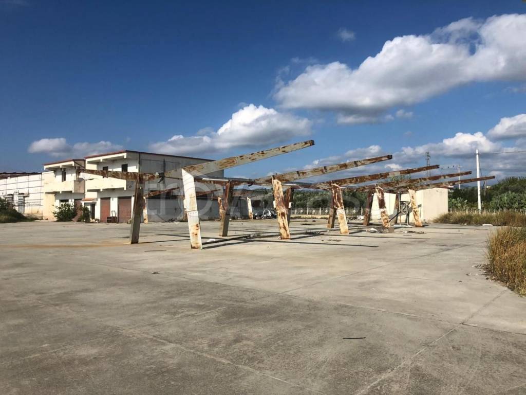 immagine annuncio 2 di 7