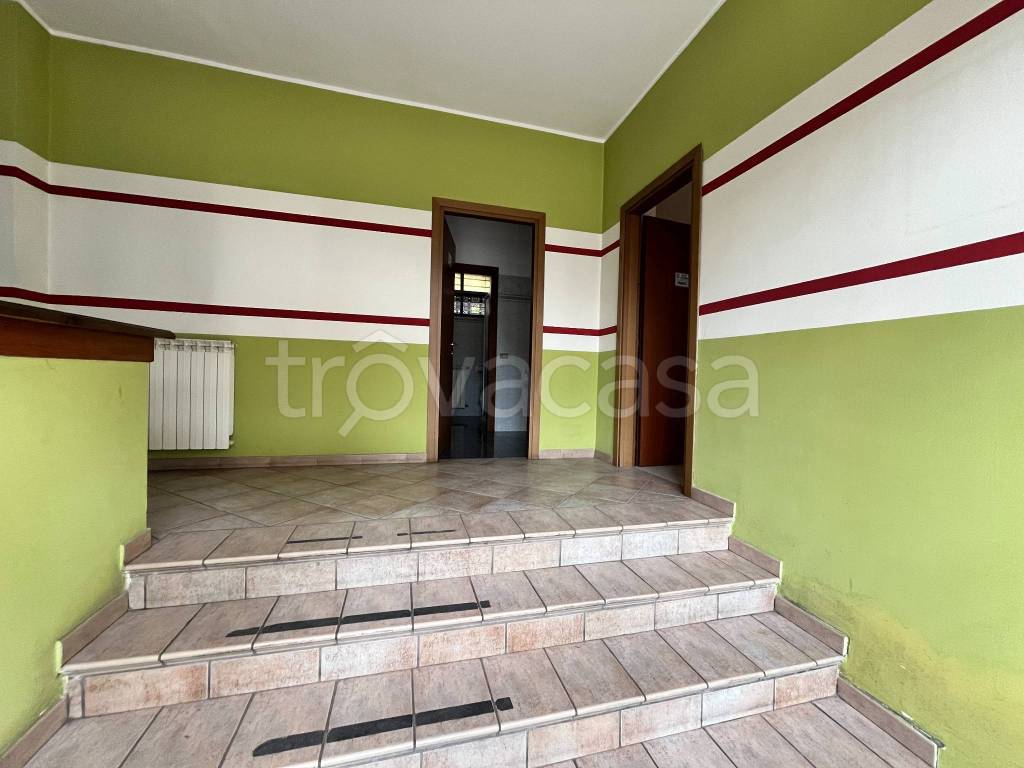 immagine annuncio 6 di 14