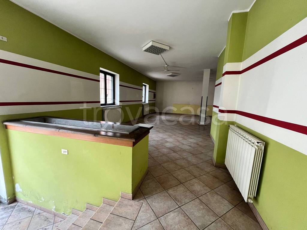 immagine annuncio 9 di 14