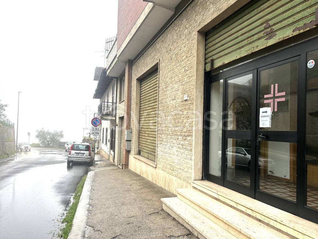 immagine annuncio 12 di 14
