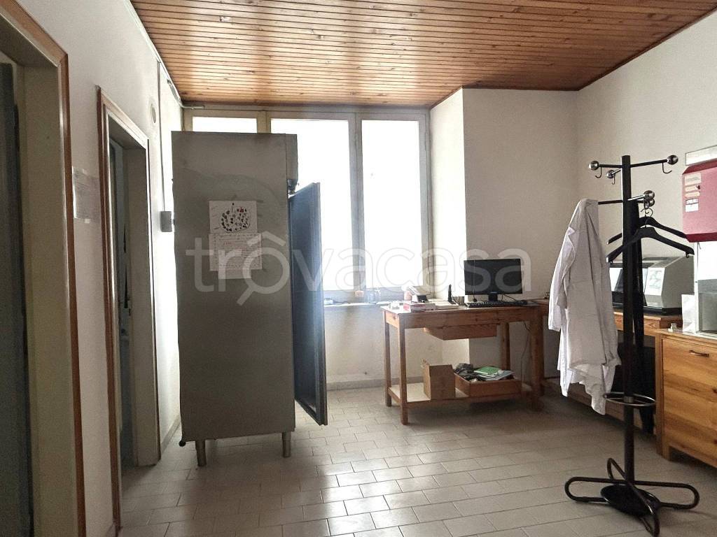 immagine annuncio 5 di 14