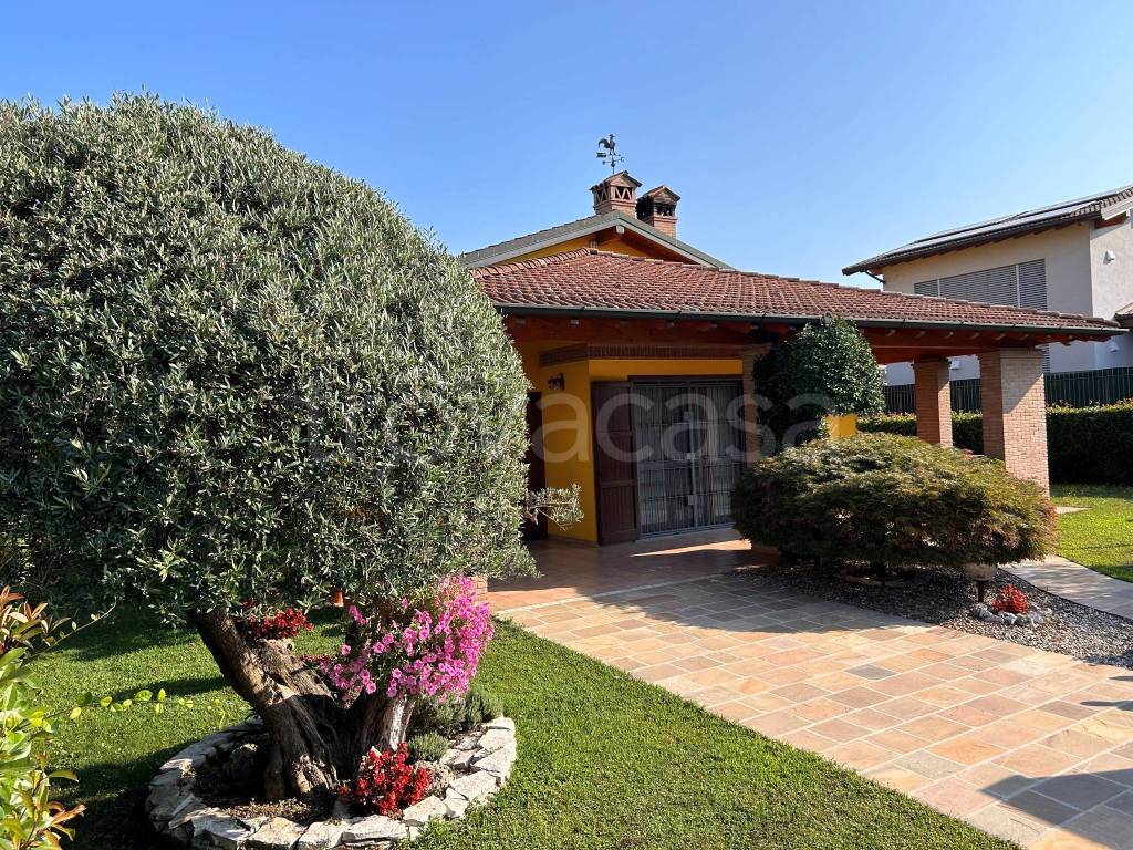 immagine annuncio 3 di 15