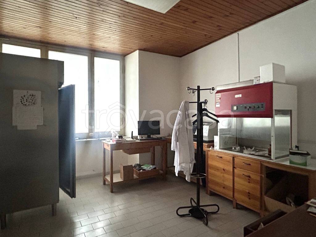immagine annuncio 3 di 14