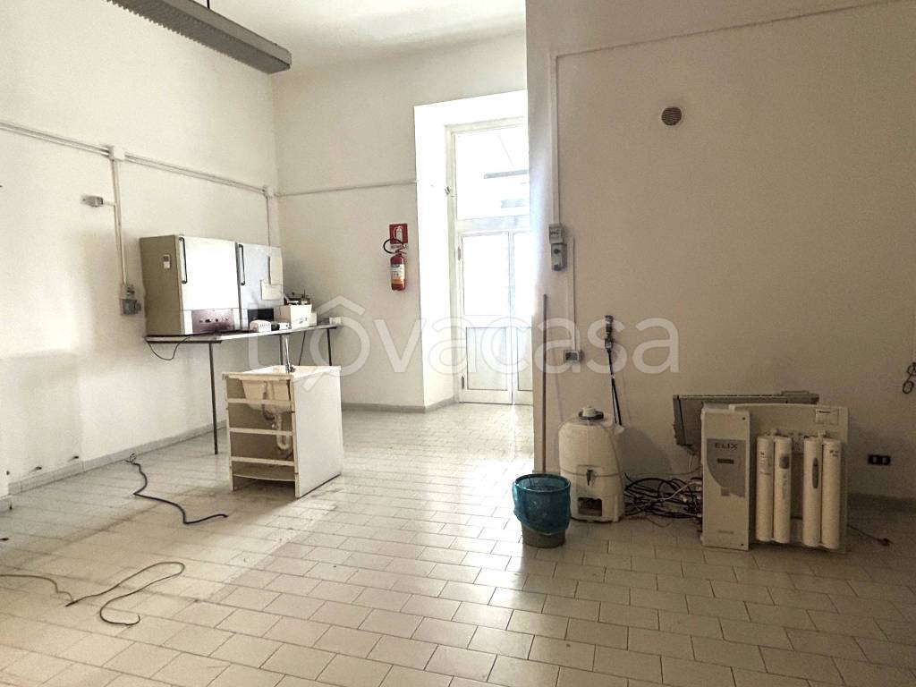 immagine annuncio 9 di 14