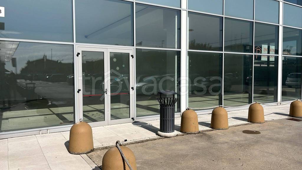 immagine annuncio 1 di 7