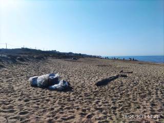 Appartamento in affitto ad anzio lungomare celeste, 43