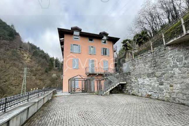 immagine annuncio 4 di 9