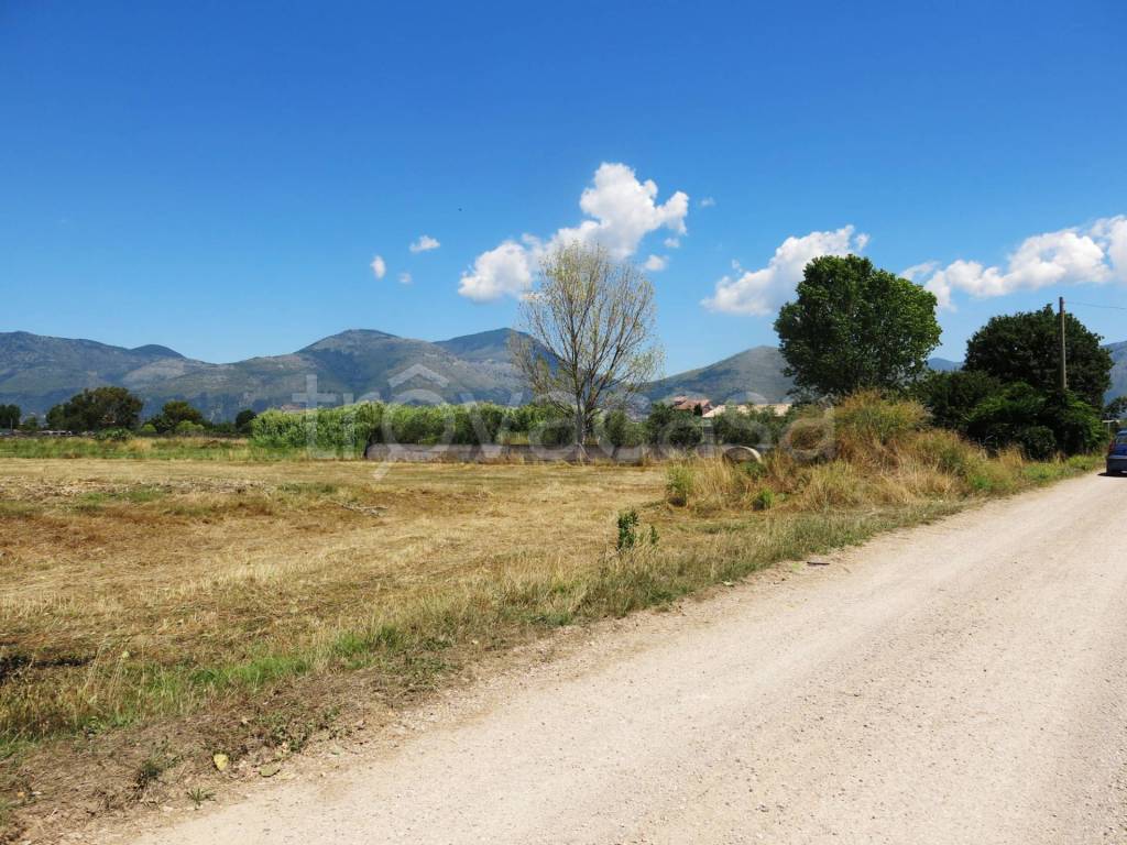 immagine annuncio 5 di 9