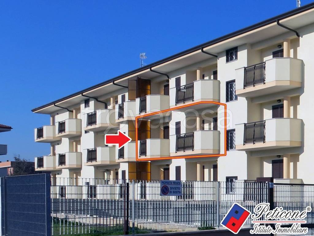 immagine annuncio 11 di 12