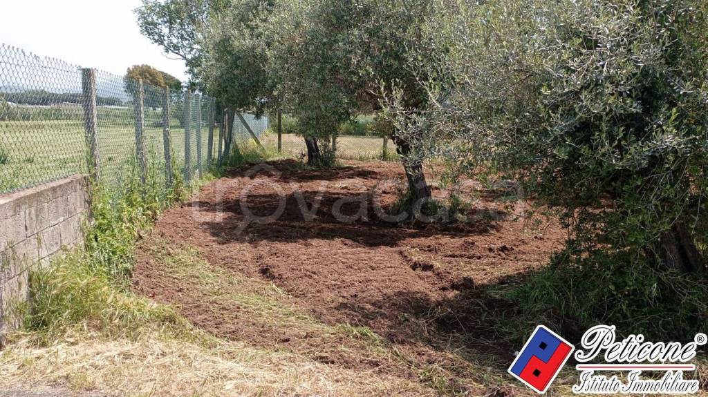 immagine annuncio 2 di 8