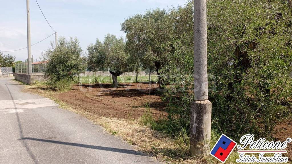 immagine annuncio 4 di 8