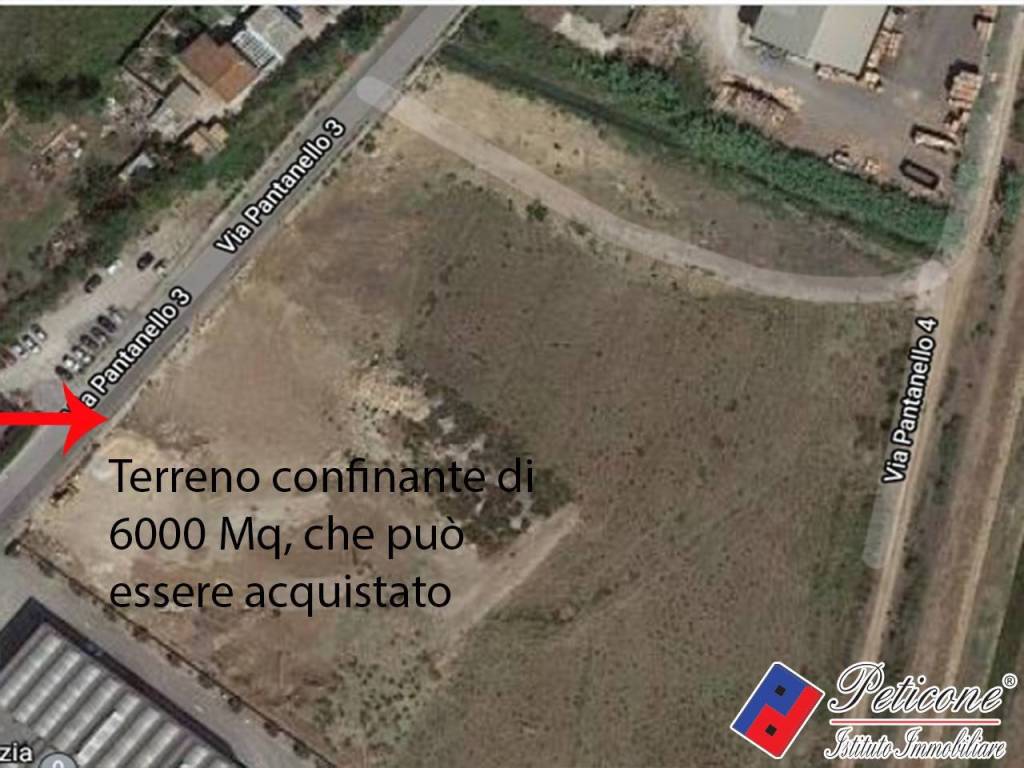 immagine annuncio 2 di 3
