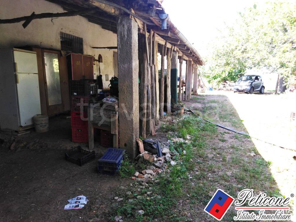 immagine annuncio 2 di 13