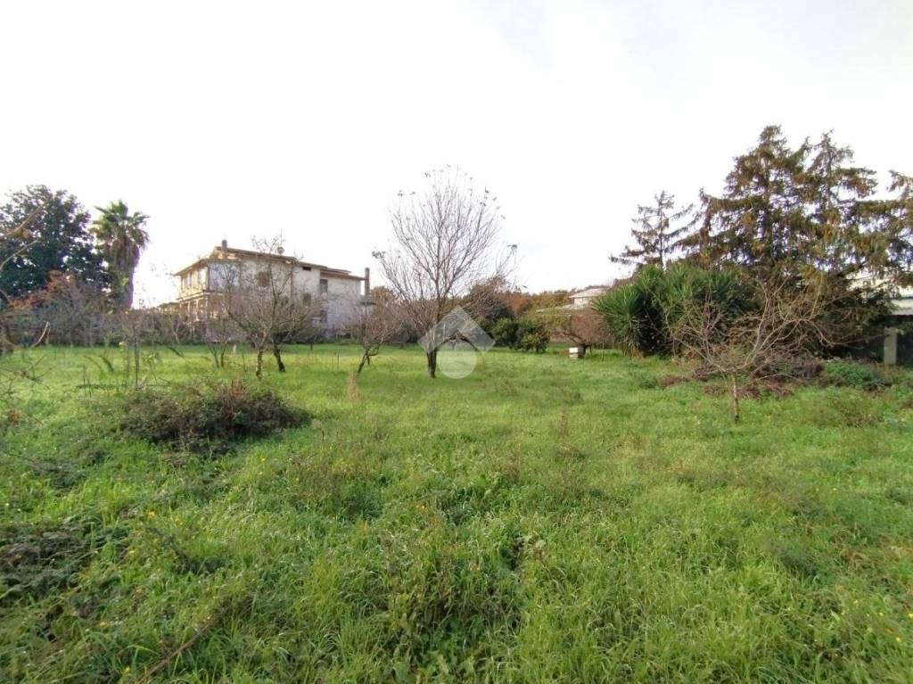 immagine annuncio 5 di 7