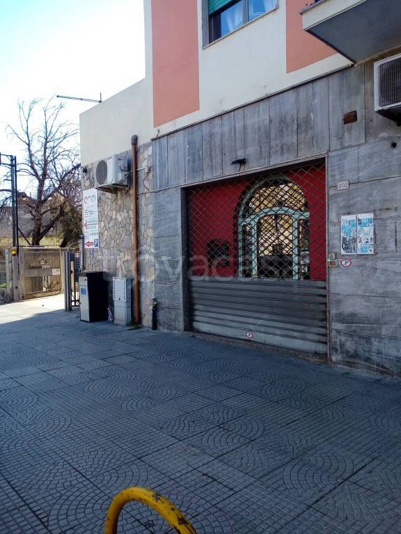 immagine annuncio 4 di 14